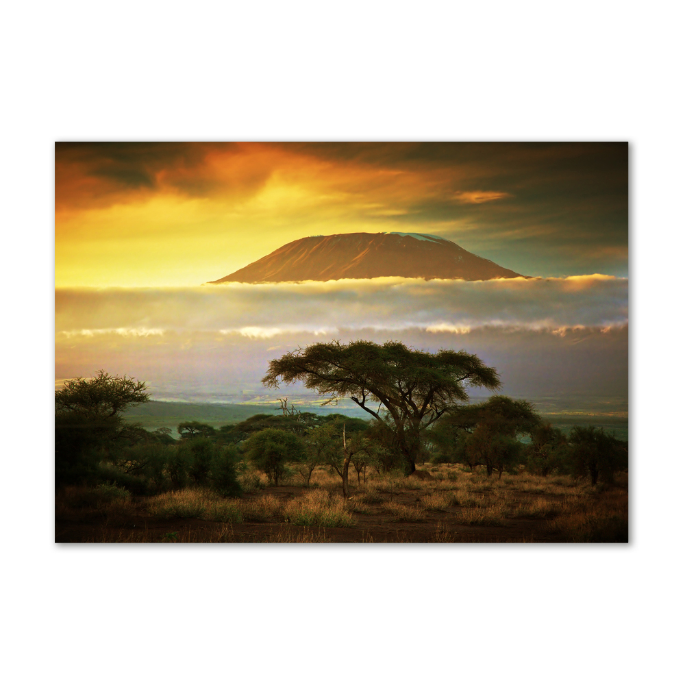 Glass wall art large Kilimanjaro kenya