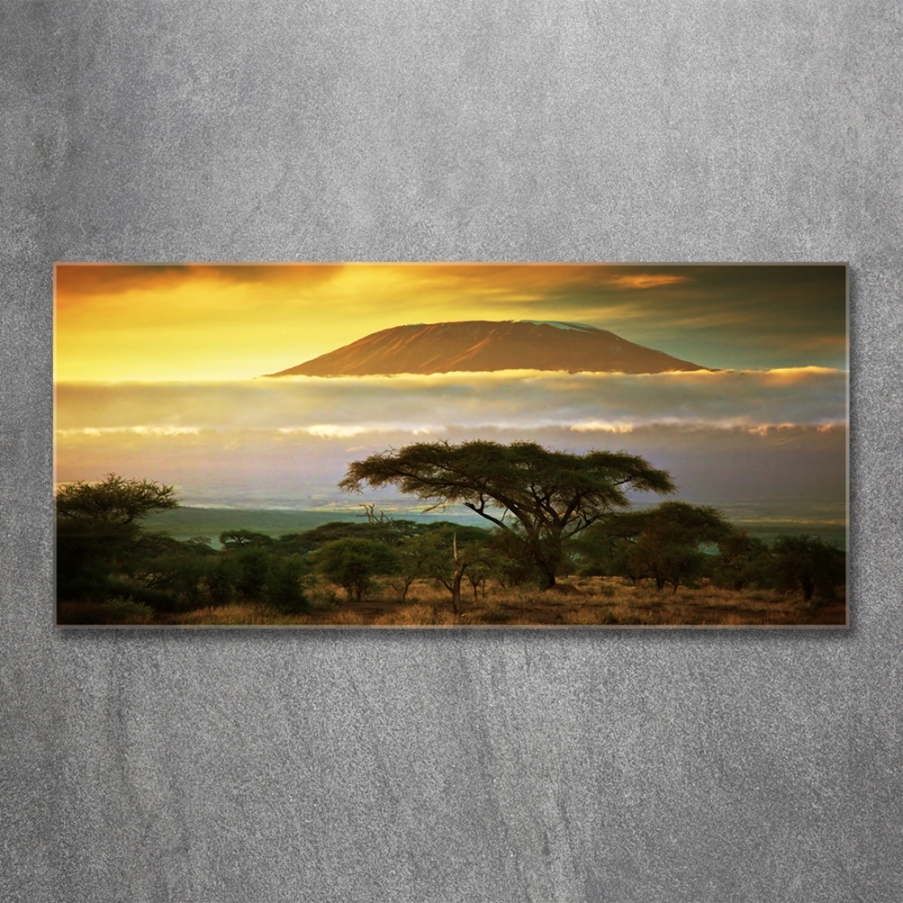 Glass wall art large Kilimanjaro kenya