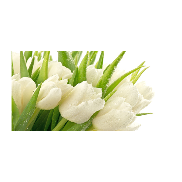 Glass picture wall art White tulips