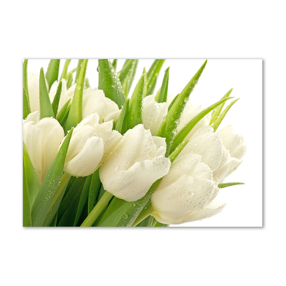 Glass picture wall art White tulips