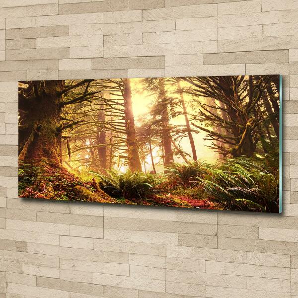 Glass wall art large The rainforest