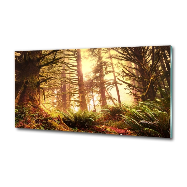 Glass wall art large The rainforest