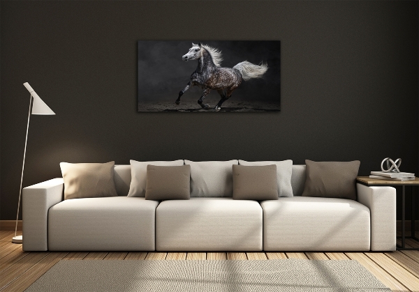 Photo printed on glass Gray arabian horse