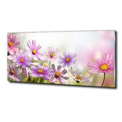 Glass picture wall art Flowers in the meadow