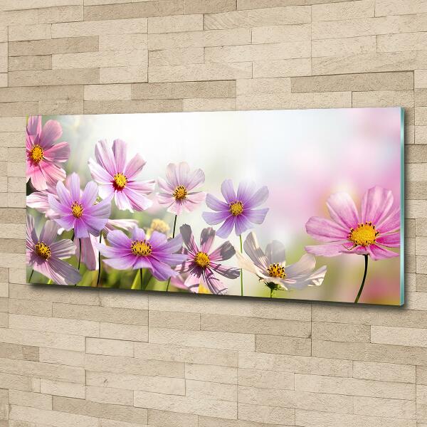 Glass picture wall art Flowers in the meadow