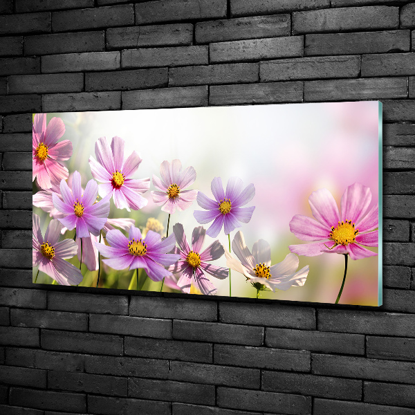 Glass picture wall art Flowers in the meadow