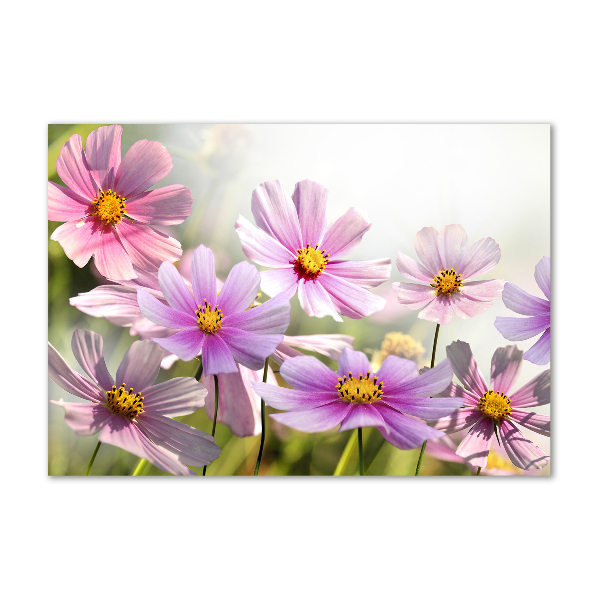 Glass picture wall art Flowers in the meadow