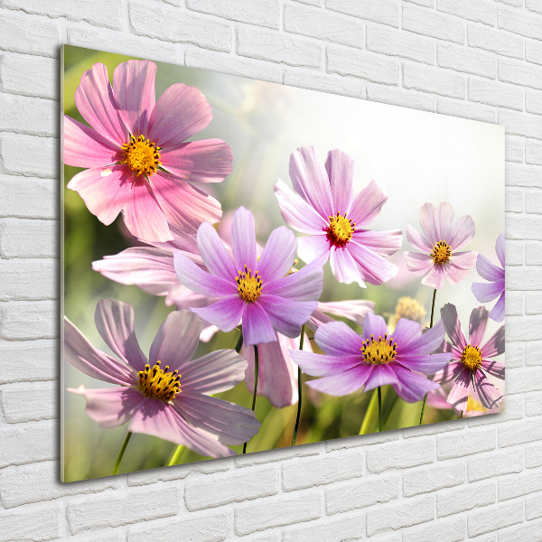 Glass picture wall art Flowers in the meadow