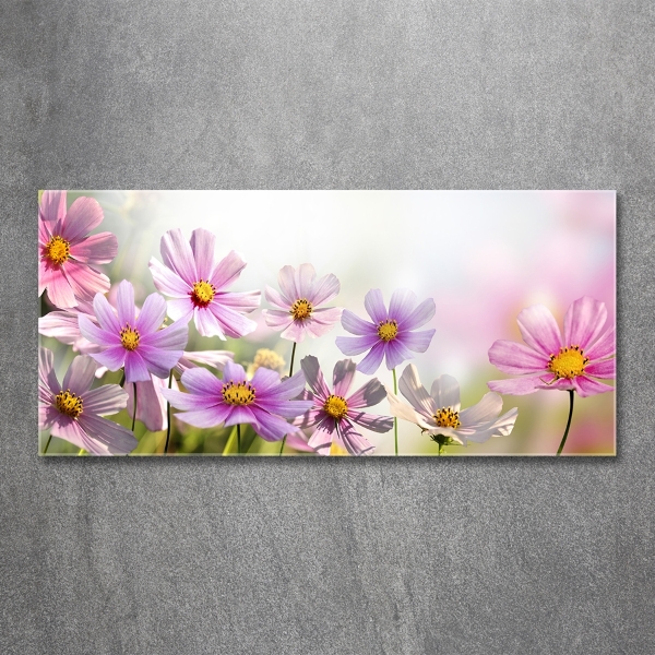 Glass picture wall art Flowers in the meadow