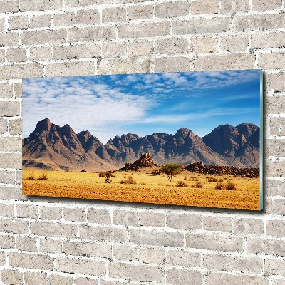 Glass wall art large Rocks in namibia