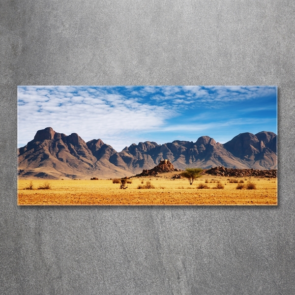 Glass wall art large Rocks in namibia