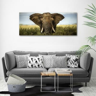 Glass art picture Elephant in the savanna