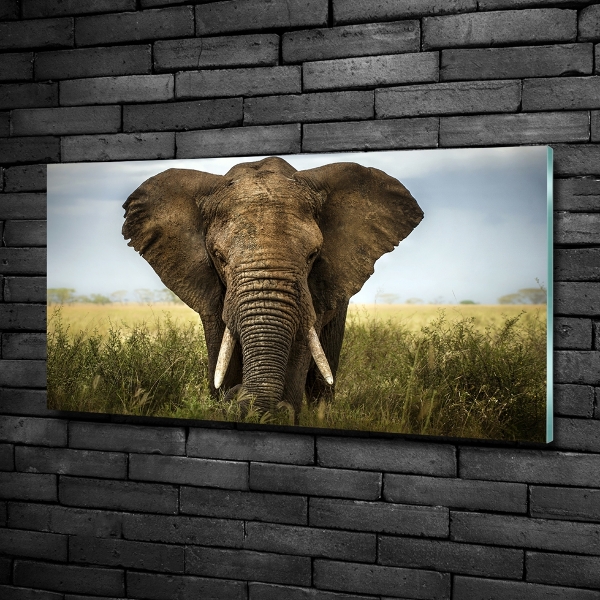 Glass art picture Elephant in the savanna