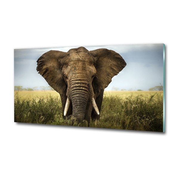 Glass art picture Elephant in the savanna