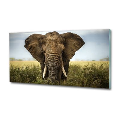 Glass art picture Elephant in the savanna