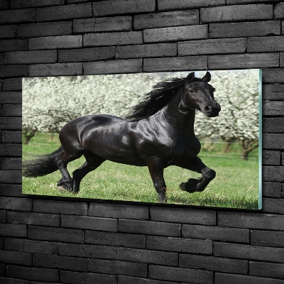 Glass art picture Black horse flowers