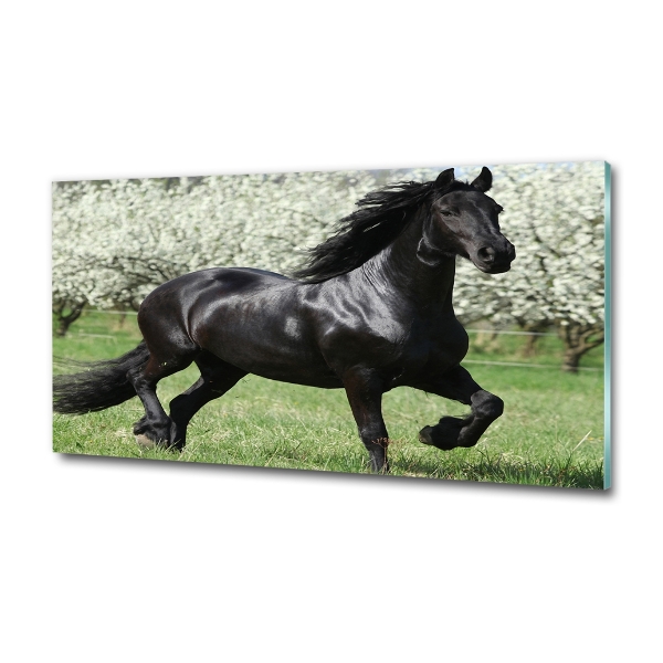 Glass art picture Black horse flowers