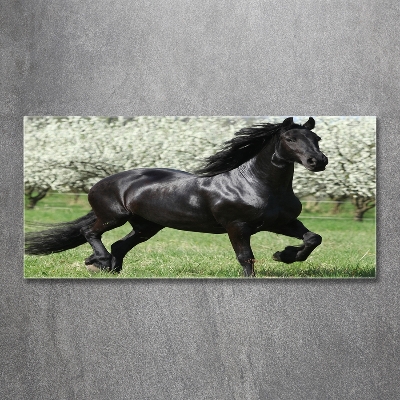 Glass art picture Black horse flowers