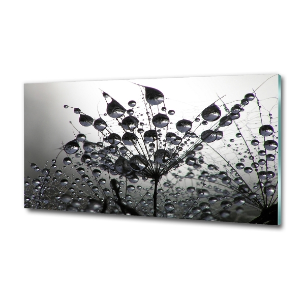 Glass picture wall art Dandelion seeds