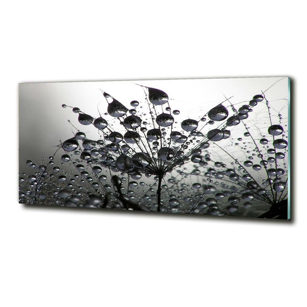 Glass picture wall art Dandelion seeds