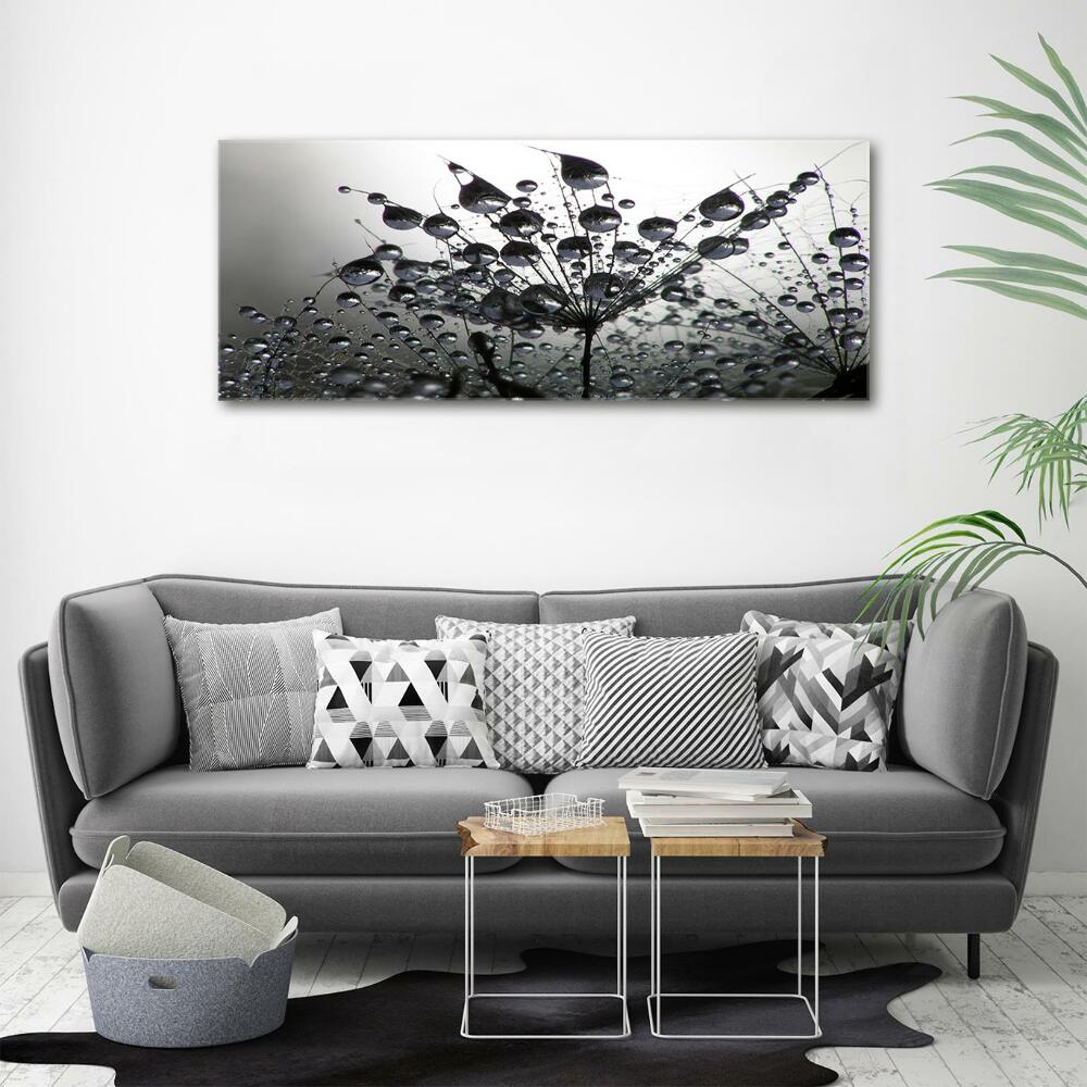 Glass picture wall art Dandelion seeds