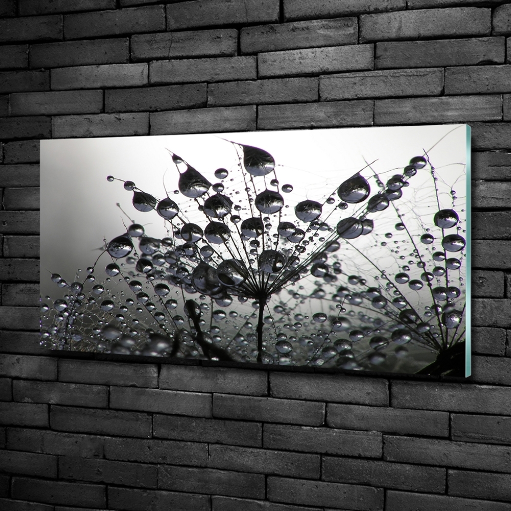 Glass picture wall art Dandelion seeds