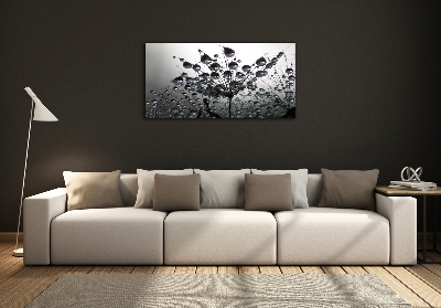 Glass picture wall art Dandelion seeds