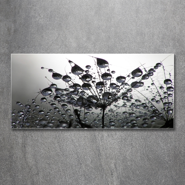 Glass picture wall art Dandelion seeds