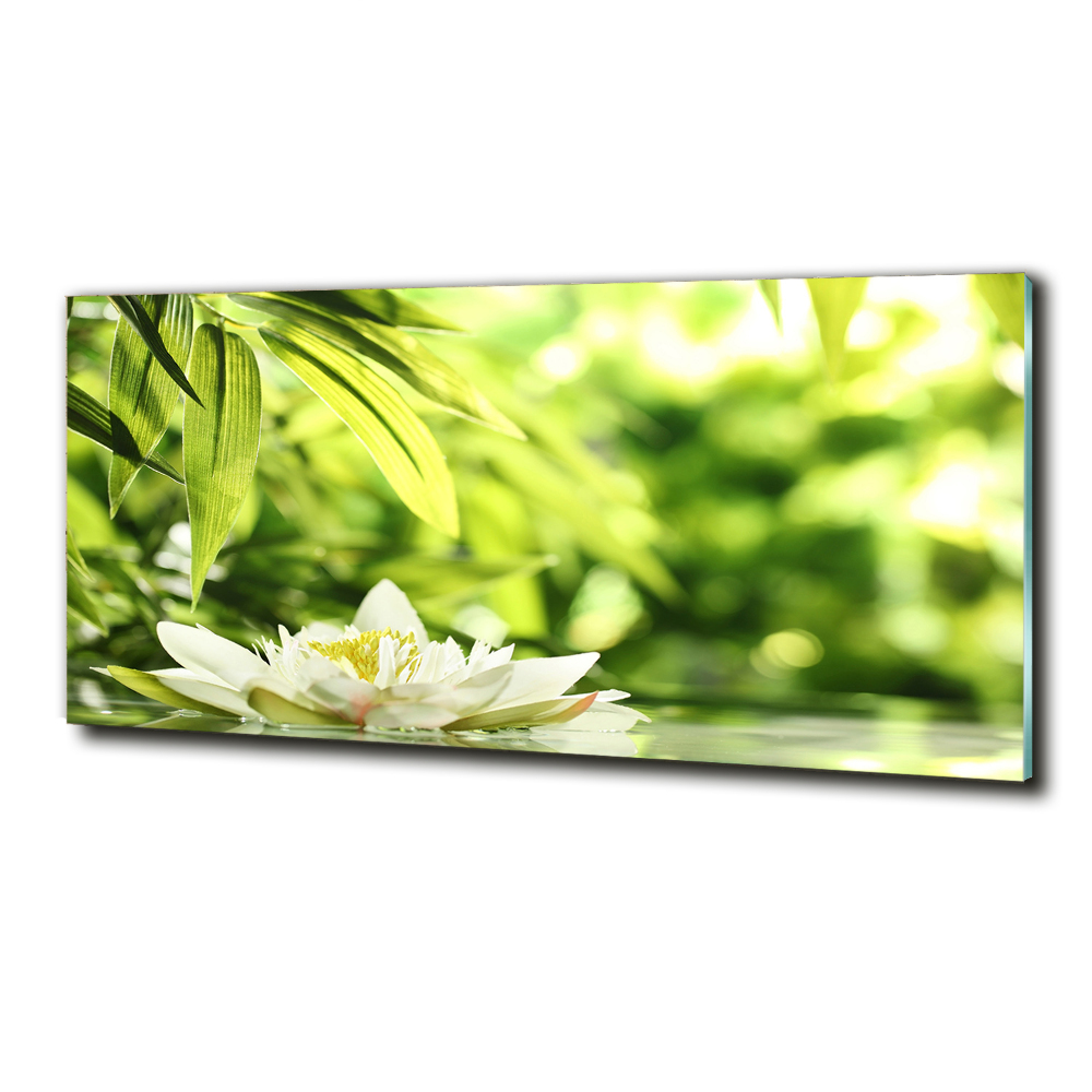 Printed glass wall art Water lily