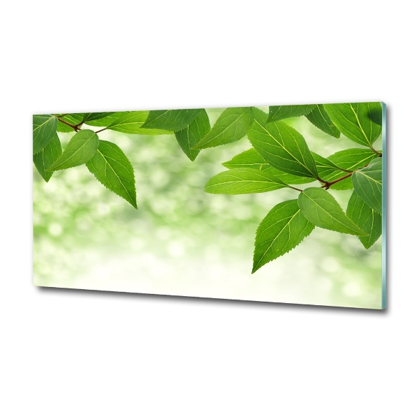 Glass picture wall art Green leaves