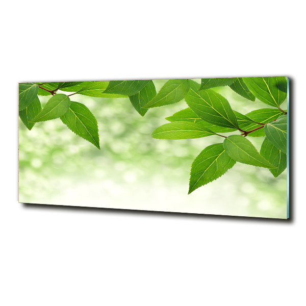 Glass picture wall art Green leaves