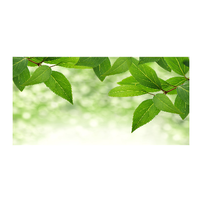 Glass picture wall art Green leaves