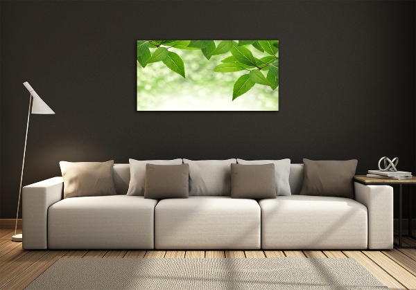 Glass picture wall art Green leaves