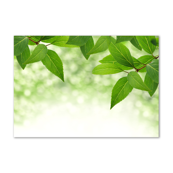 Glass picture wall art Green leaves