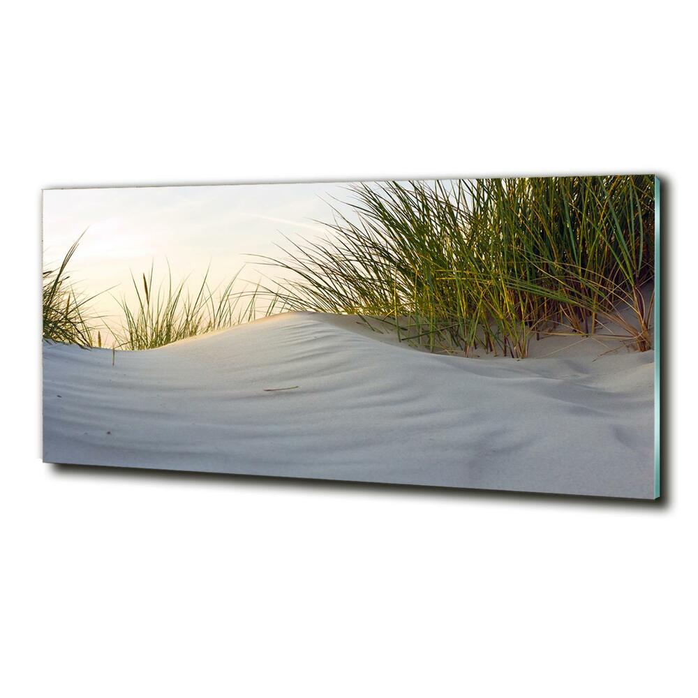 Glass picture wall art Coastal dunes