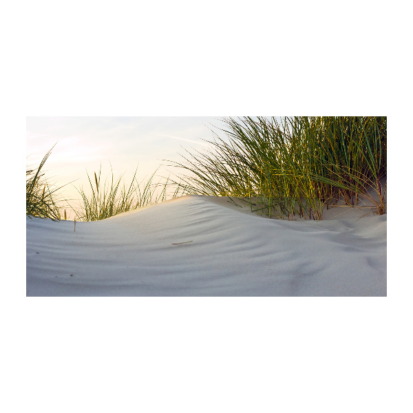 Glass picture wall art Coastal dunes