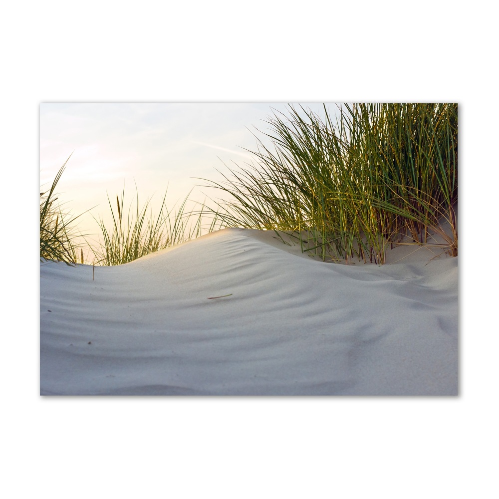 Glass picture wall art Coastal dunes