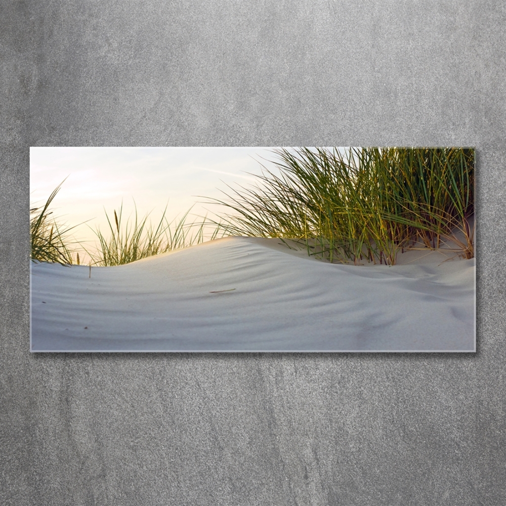 Glass picture wall art Coastal dunes