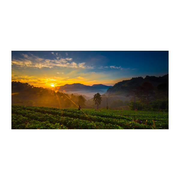 Glass wall art large Tea plantation