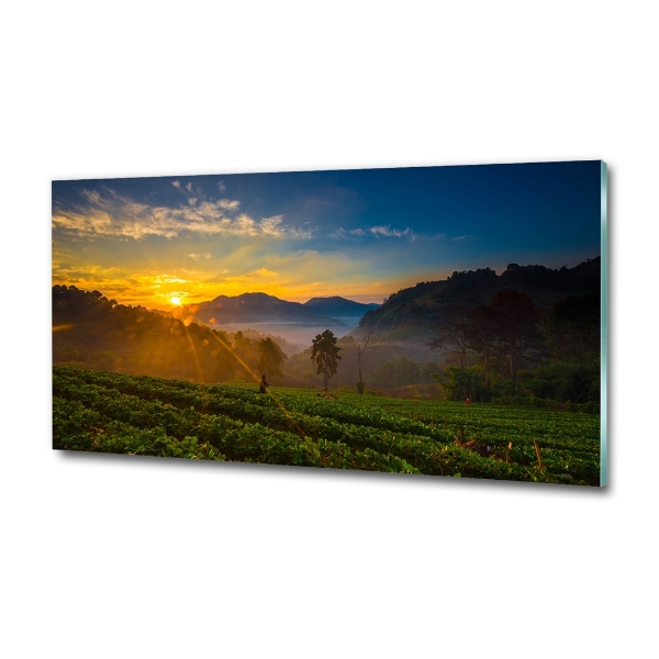 Glass wall art large Tea plantation