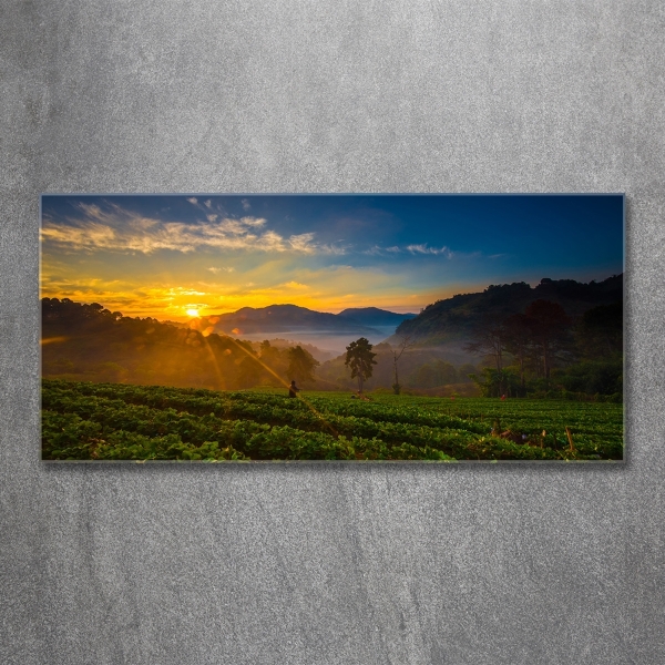 Glass wall art large Tea plantation