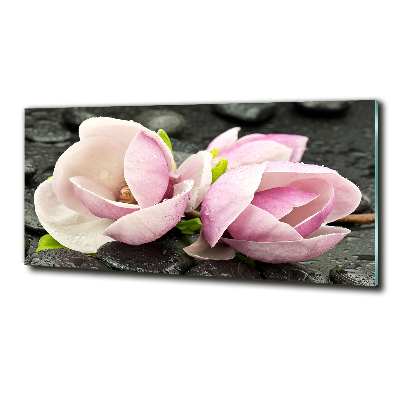 Printed glass wall art Magnolia stone zen