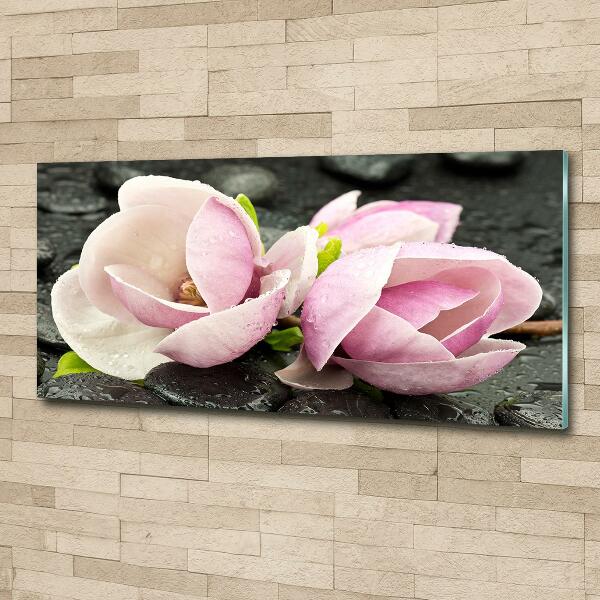 Printed glass wall art Magnolia stone zen