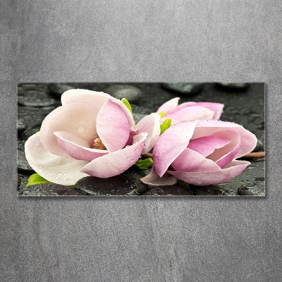 Printed glass wall art Magnolia stone zen