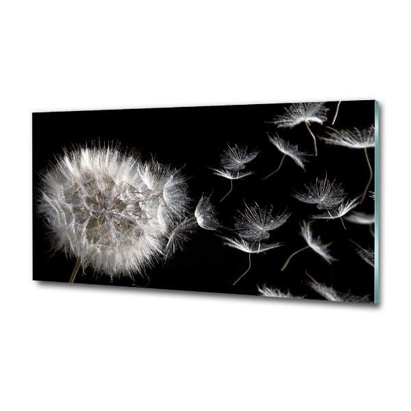 Glass picture wall art Dandelion