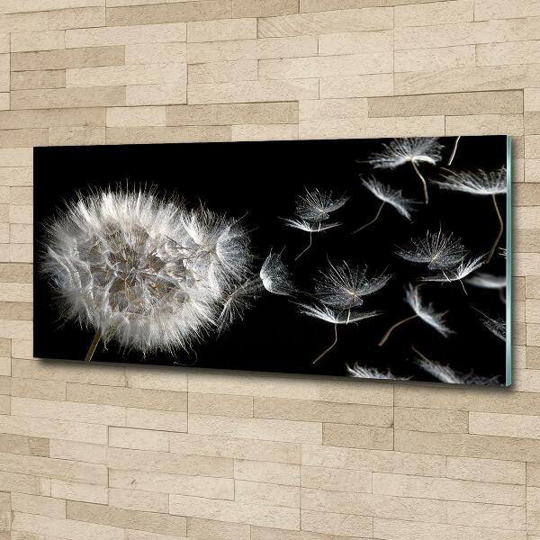 Glass picture wall art Dandelion