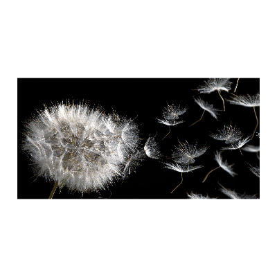 Glass picture wall art Dandelion