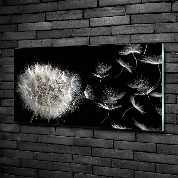 Glass picture wall art Dandelion