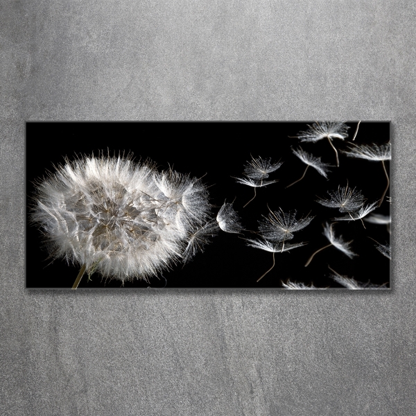 Glass picture wall art Dandelion