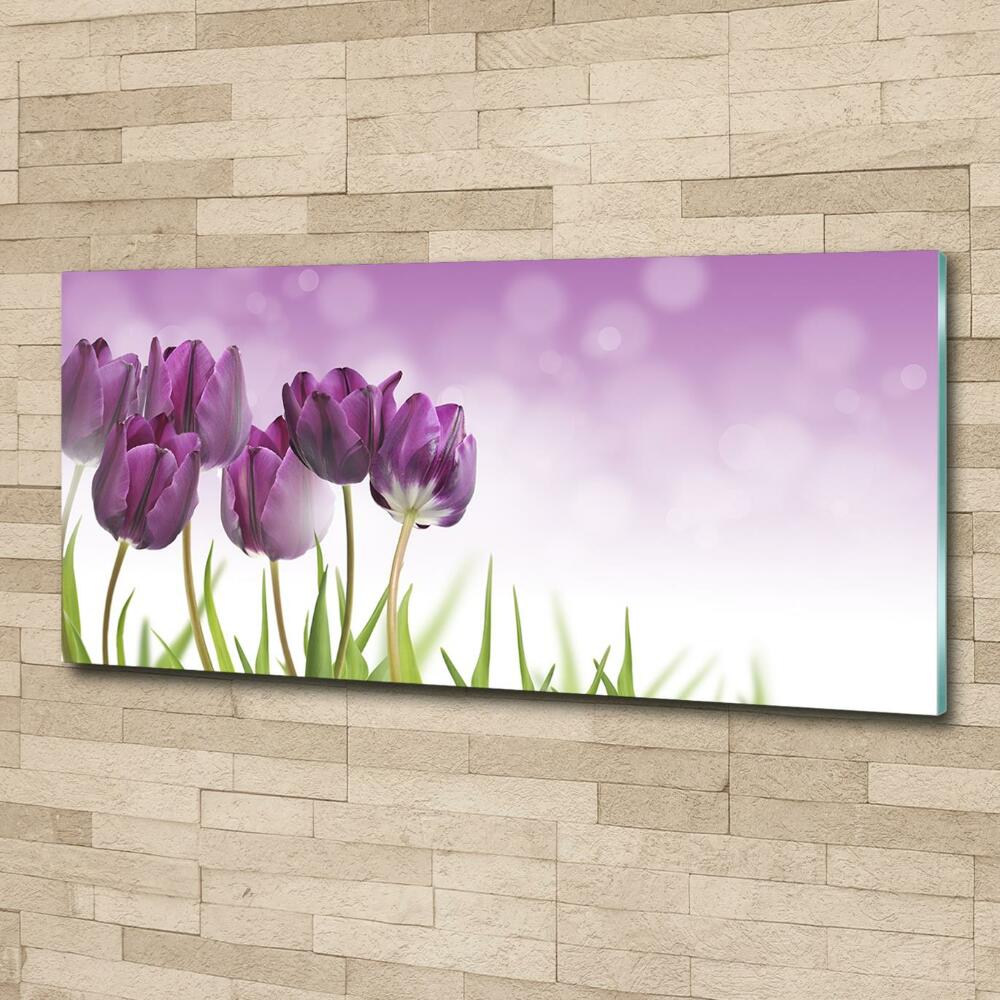 Printed glass wall art Fillet tulips